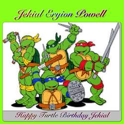 Birthday/Pool Party - Ninja Turtle- TMNT  