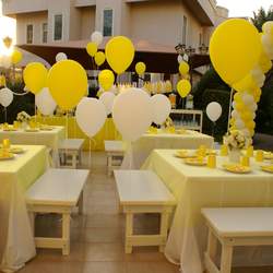 Y & W - Yellow & White
