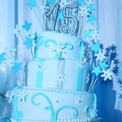 Winter birthday party - Winter. Snowflakes