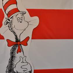 Dr Seuss Thing One and Thing Two Dual Birthday Party - None