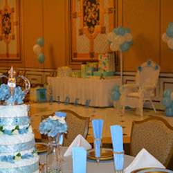 Ashley's Baby Shower - None