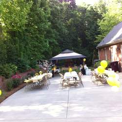 Brenda's 70th sunflower birthday party - None
