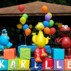 Karelles Sesame st Birthday - sesame st