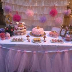 Tiana's 3rd Royal Birthday!  - Princess Party