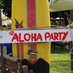 Anna's Aloha Birthday party - Luau / Hawaiian