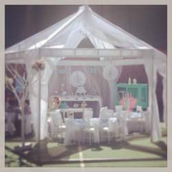 Victoria awesome Frozen Party - Frozen (Disney)