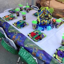 Teenage Mutant Ninja Turtle Party  - Teenage Mutant Ninja Turtles