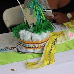 Sasha's Baby Shower - Safari