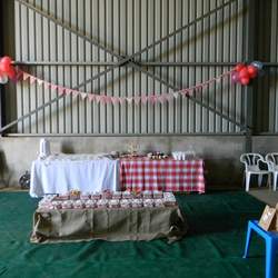 Kayla's 2nd Farm theme party - Farmyard party