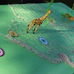Lincoln's Wild Kratts Party! - Wild Kratts