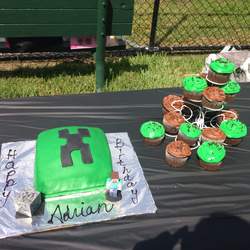 Adrian's 8th Birthday Minecraft Party - Minecraft