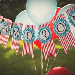 Cameron's First Birthday Under the Big Top - Circus