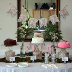 Woodland Baby Girl Shower - Woodland, birch bark, baby animals