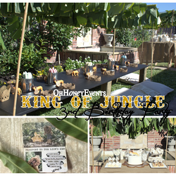 King of Jungle - lion 