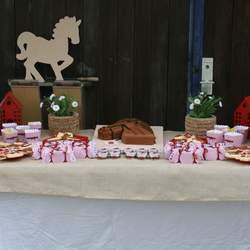 Luana`s Cowgirl Party - Cowboy / Cowgirl