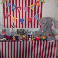 Faith's 9th Birthday - Circus / Carnival