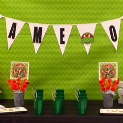TMNT Gaming Party - Teenage Mutant Ninja Turtles