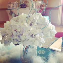 Frozen party to go - Frozen