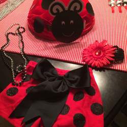 Hali's 1st Birthday Party - Ladybugs and Daisys