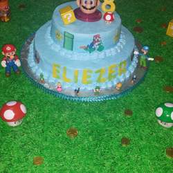 Eliezer's Mario brothers party - Mario brothers