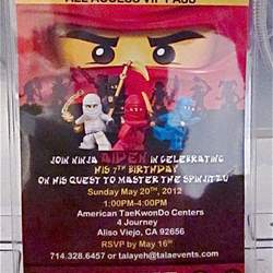 Children's Birthday Party - Ninjago Taekwondo Party