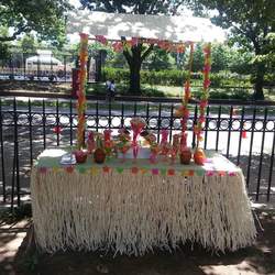 Arie's Sweet Sixteen Luau - Luau / Hawaiian