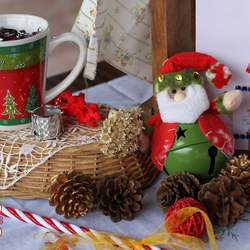 Time to have fun with friends - Xmas days