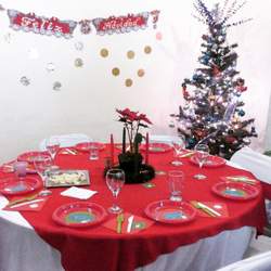 our first christmas  - None