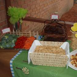 Kimball's Farm First Birthday - Farm