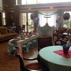 Mariana's Frozen Birthday Tea Party - Frozen (Disney)