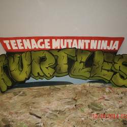 Alex Turtle Ninja - Turtle ninja