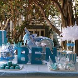 Amy's baby shower - Tiffany Blue
