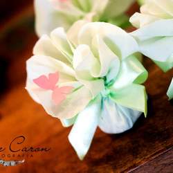 Laurinha's Buttefly Garden - Buttefly Garden