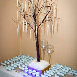 Joanne's Winter Wonderland 16th Soiree - Winter Wonderland