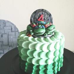 Sonny's TMNT Birthday Party - Teenage Mutant Ninja Turtles