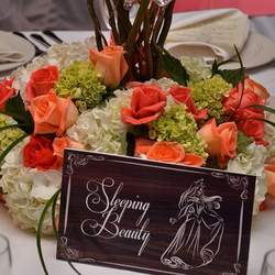 Fairy Tale Wedding - Fairy Tale