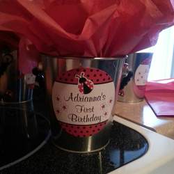 Lady Bug 1st Birthday  - Lady Bugs