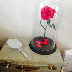 Beauty & The Beast Vintage Tea Party - Beauty and The Beast Enchanted Rose