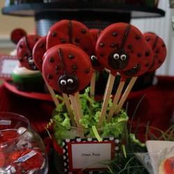 Baby Amari's Lady Bug Party - Lady Bug