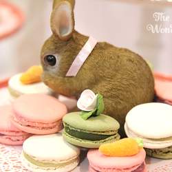 Sophie's 1st Birthday Party - Shabby Chic Bunny