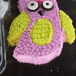 Alices First Birthday - Owls