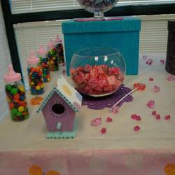 Nerissa's Baby Shower - Tweet Baby Tweet