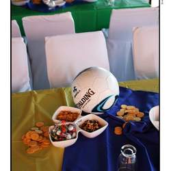 Barney soccer party - barney
