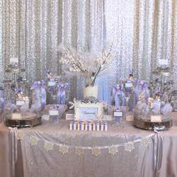 Brianna's Quinceanera - Winter Wonderland
