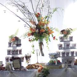 Robert and Michelle's fall Wedding - None
