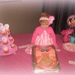Alyson's 2nd Birthady - Owl party