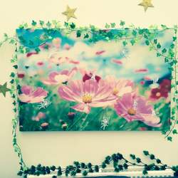 Amber's Fairy and Elves Party - Fairies, Elves, Enchanted Garden 