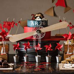 Vintage airplane dessert table - Vintage airplane