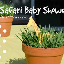 Safari Baby Shower - Safari Animals