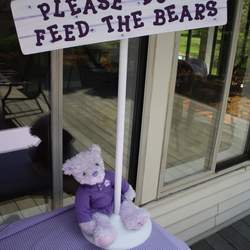 Chelsea's Teddy Bear Birthday - Teddy Bear